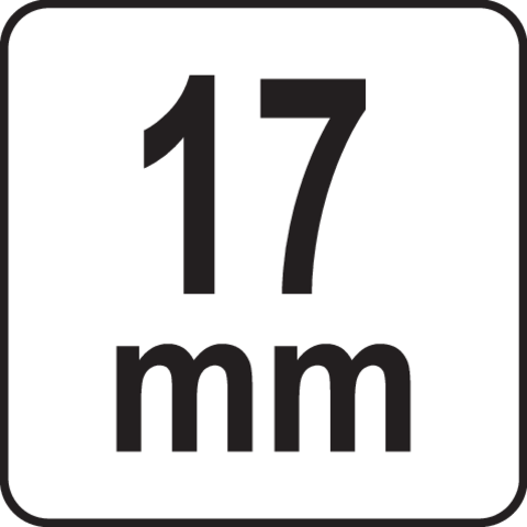 Piktogram 1