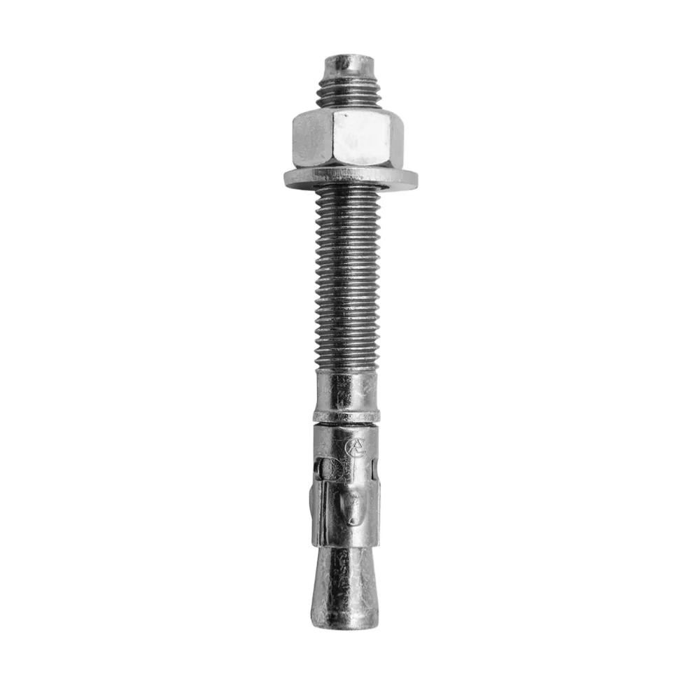 Screw nut with wall plug